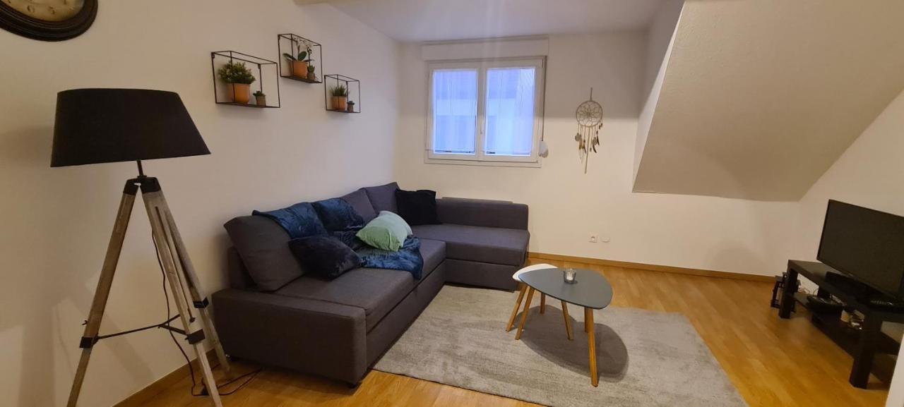 Duplex Au Centre Avec Parking - L'Etoile Apartment Obernai Bagian luar foto